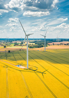 RENEWABLES