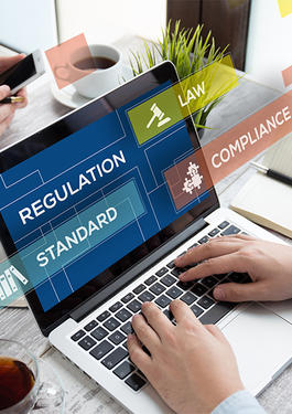 E-Regulatory