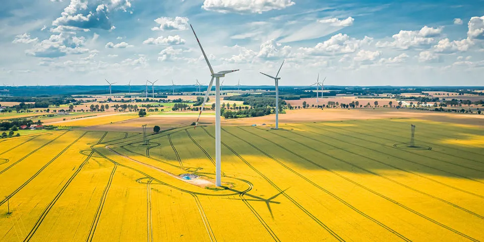 RENEWABLES