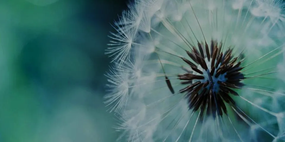 clarity