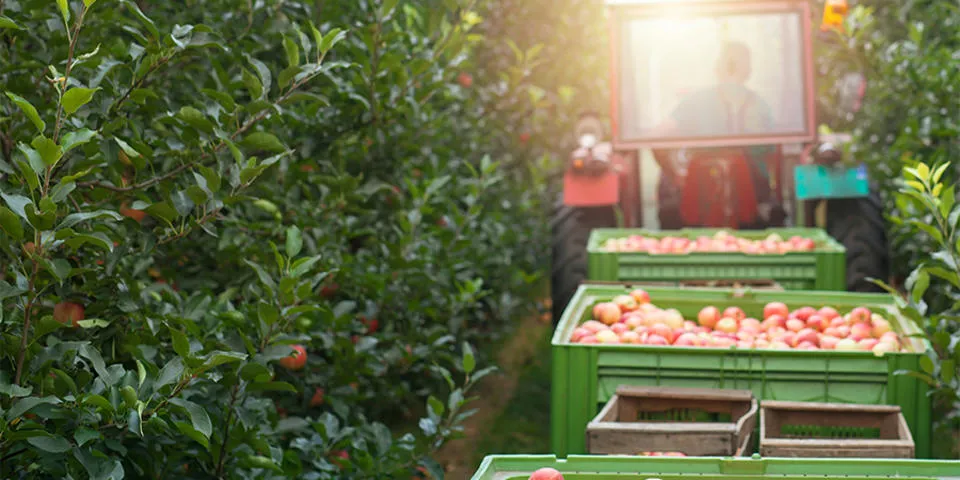 food agri